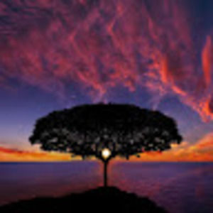 Meet your Posher, Ben